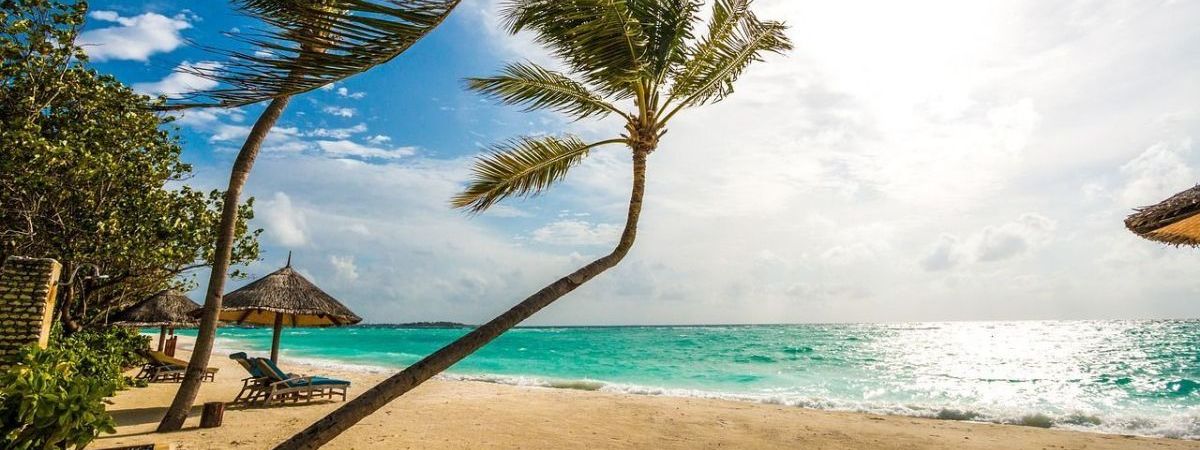  Jungle Tribe Illustration 